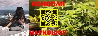 spice Кулебаки